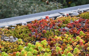 the cost of Roffey green roof installation