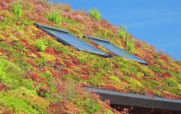 Roffey living roof systems